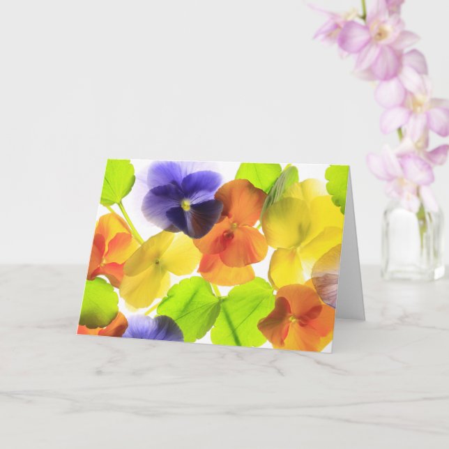 Tarjeta Pansy Fiesta (Orquídea)