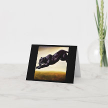 Pantera negra (1) Gato salvaje