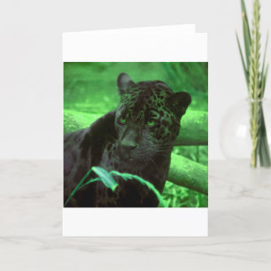 Tarjeta Pantera negra Jaquar en verde