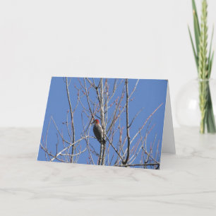 Tarjeta Pañuelo De Madera En El Árbol