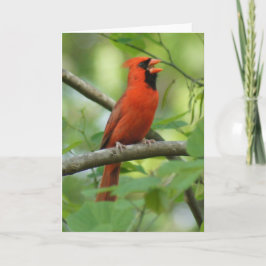 Tarjeta ¡Papá cantando!