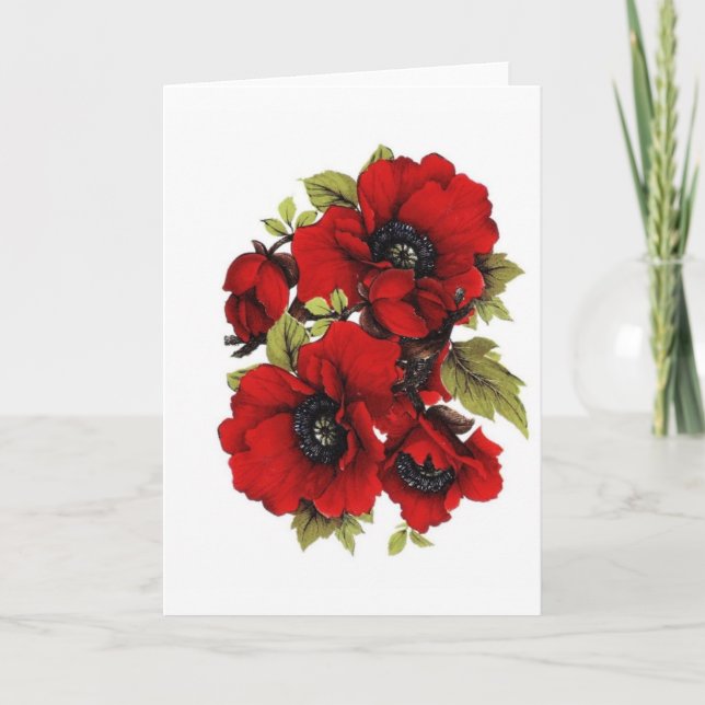Tarjeta Papas rojas antiguas, (Anverso)