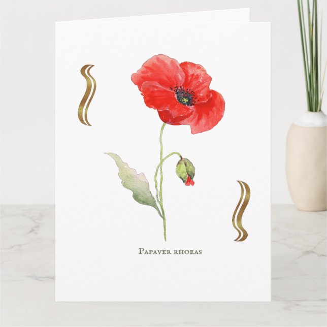Tarjeta Papaver rhoeas  (Anverso)