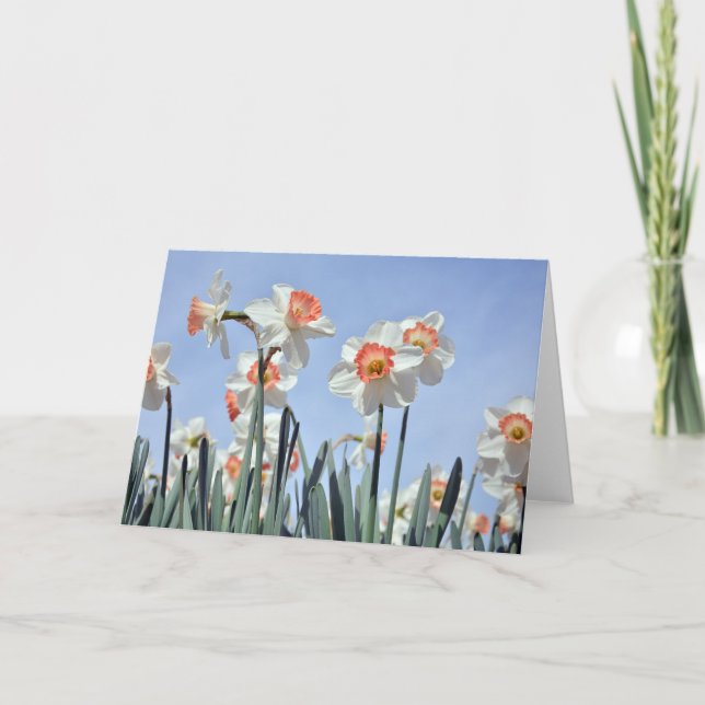 Tarjeta Papeles en flor (Anverso)