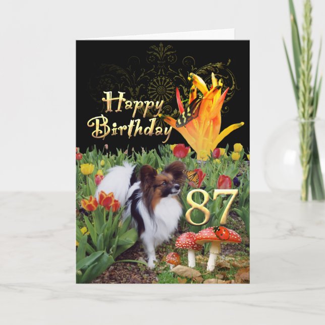 Tarjeta Papillion dog Happy 87 Birthday card Específico de (Anverso)