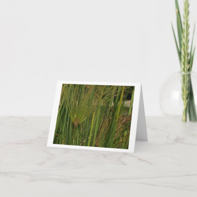 Tarjeta Papiro (Anverso)