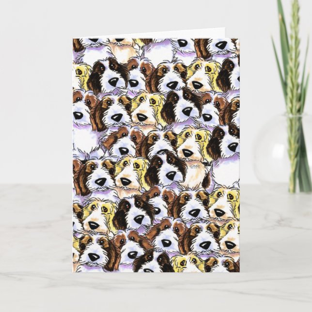 Tarjeta Paquete de PBGV (Anverso)