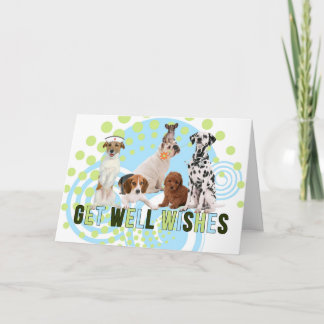 Tarjeta Paquete divertido azul y verde de perros se recupe