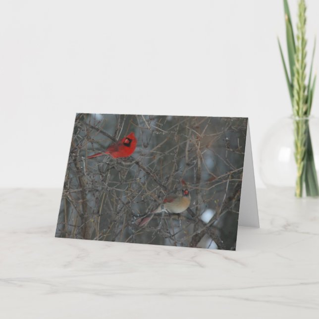 Tarjeta Par cardinal (Anverso)