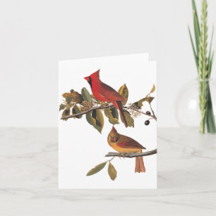 Tarjeta Par de cardenales de Audubon en un árbol de almend