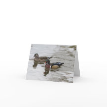 Par de pato de madera