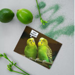 Tarjeta Para Brother Green Parakeets Foto Cumpleaños<br><div class="desc">Una tarjeta de cumpleaños divertida y colorida para el hermano que muestra la foto de un par de brillantes y verdes Parakeets,  también llamado Budgies. Seleccione una tarjeta de estilo mate o brillante.</div>