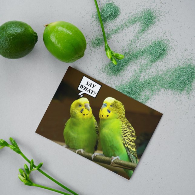 Tarjeta Para Brother Green Parakeets Foto Cumpleaños (In Situ)