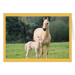 Tarjeta para caballos y amigos