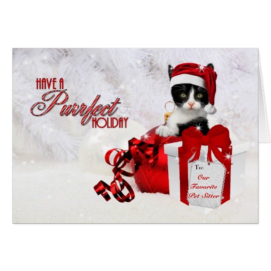 Tarjeta para el canguro perfecto del mascota del gato