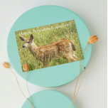 Tarjeta Para el cumpleaños de vida silvestre Grandson Deer<br><div class="desc">Palabras de sabiduría acompañan esta tarjeta de cumpleaños con temática de la naturaleza para un nieto joven y muestra la imagen de la foto de un bebé de ciervo adorable. Seleccione el estilo de acabado de la tarjeta.</div>