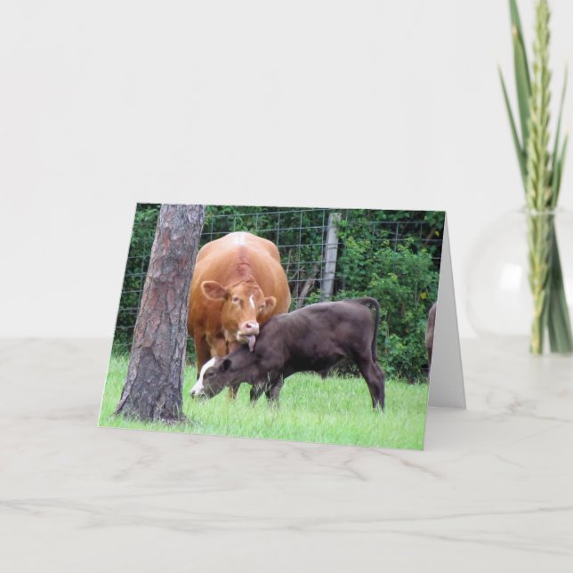 Tarjeta para el día de la madre (Anverso)