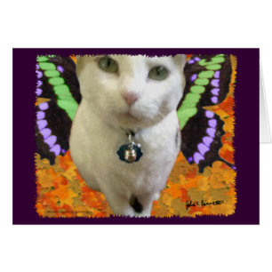 Tarjeta para gato de hadas