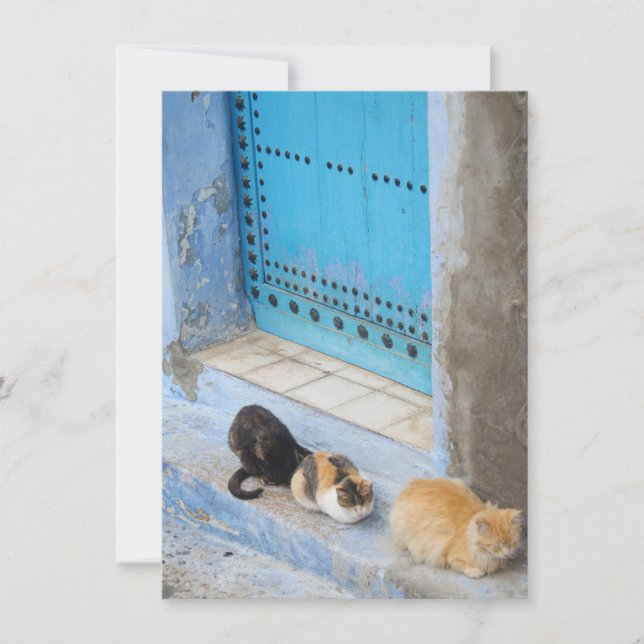 Tarjeta para gatos, chefchaouen, Marruecos (Anverso)