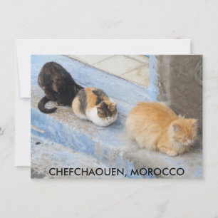 Tarjeta para gatos, chefchaouen, Marruecos