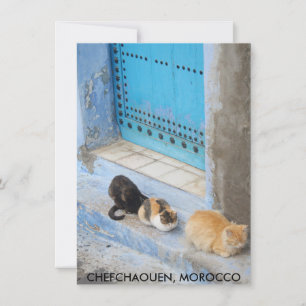Tarjeta para gatos, chefchaouen, Marruecos