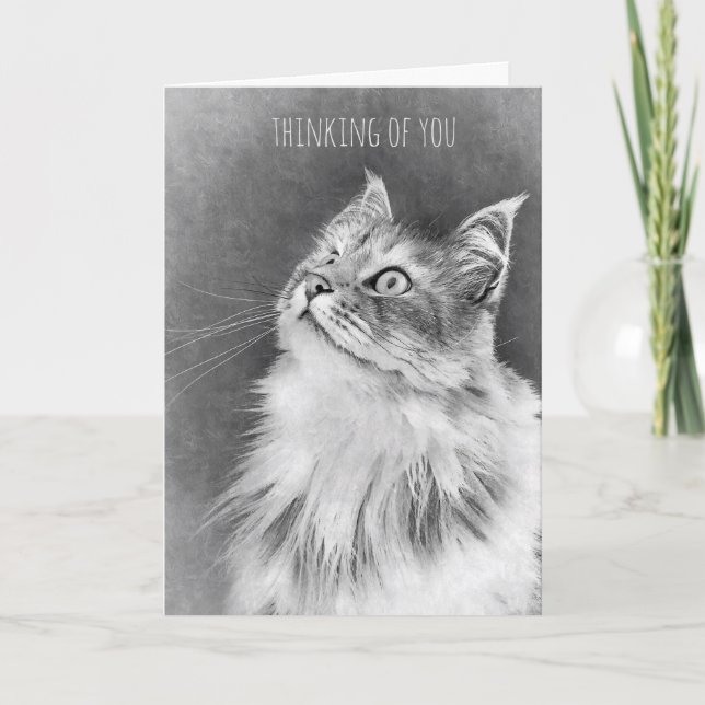 Tarjeta Para la pérdida de un gato del mascota (tarjeta) (Anverso)
