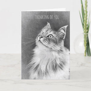 Tarjeta Para la pérdida de un gato del mascota (tarjeta)