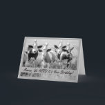 Tarjeta Para Mamaw Funny Birday Cows Card<br><div class="desc">¡Mamaw,  nos enteramos que es tu cumpleaños! Foto en blanco y negro de ganado con gorras fiestas añadidos en esta tarjeta de cumpleaños para un mamaíta especial,  abuela. Arte,  imagen y verso copyright © Shoaff Ballanger Studios,  2023.</div>