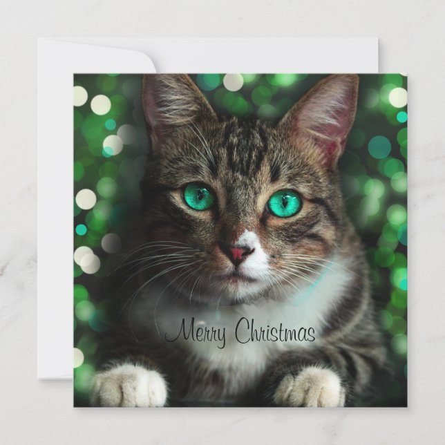 Tarjeta para Navidades cuadrados planos de gato co (Anverso)