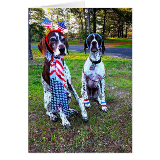 Tarjeta para perros y fuegos artificiales Fiestas