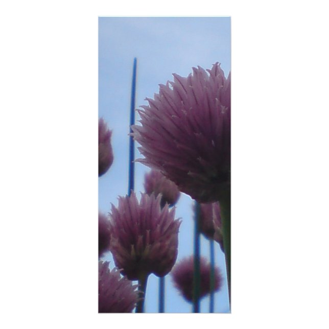 Tarjeta para rack - Chives Image 1 (Frente)