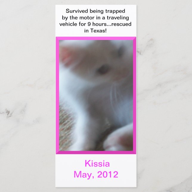 Tarjeta para rack Kissia (Little Girl Kitty) o mar (Anverso)