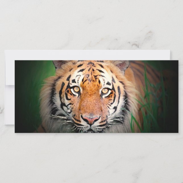 Tarjeta para rack Tiger (Anverso)