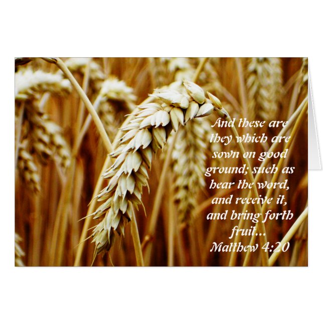 Tarjeta Parable de Sower Blank (Anverso (Horizontal))