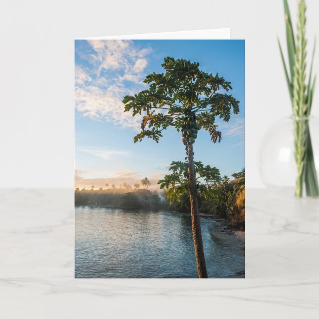 Tarjeta Paraíso tropical al atardecer, Fiyi (Anverso)