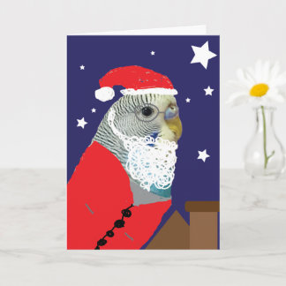 Tarjeta Parakeet Santa Clause Christmas Card
