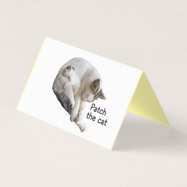 TARJETA PARCHE EL GATO Y SU KITTEN (Anverso)