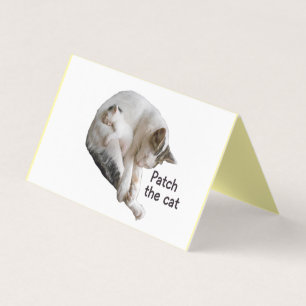 TARJETA PARCHE EL GATO Y SU KITTEN
