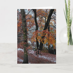Tarjeta Parches de nieve , en los árboles