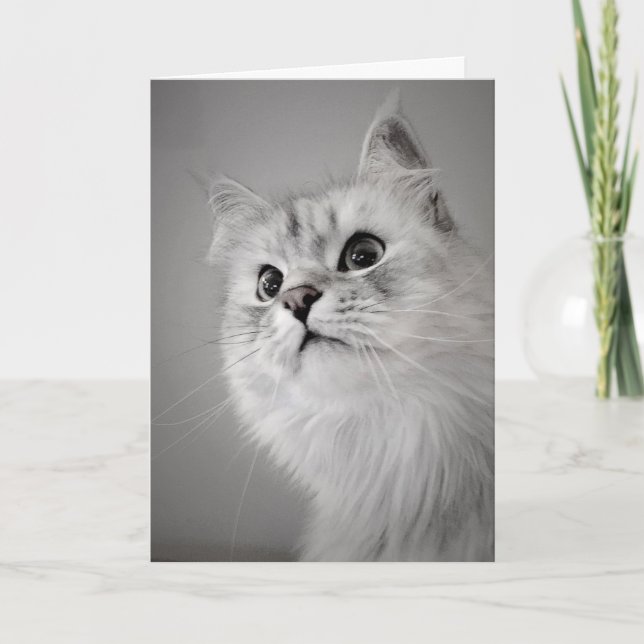 Tarjeta ¡Parece que es tu cumpleaños! (Tarjeta) (Anverso)