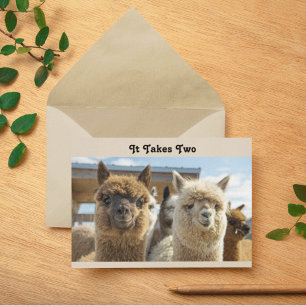 Tarjeta Pareja de alpacas de pelo rizado blanco y marrón r