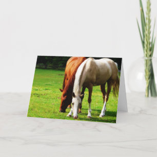Tarjeta Pareja de Caballo Biracial
