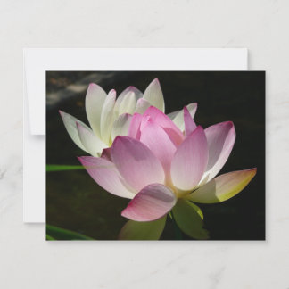 Tarjeta Pareja de flores de Lotus II