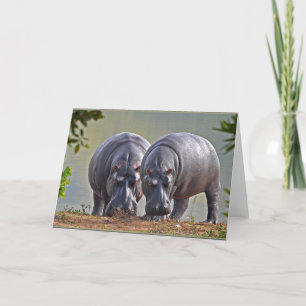 Tarjeta Pareja de Hippos