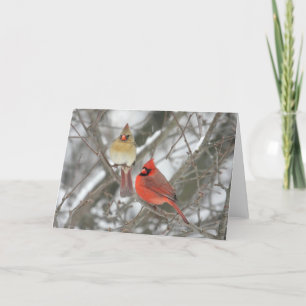 Tarjeta Pares de cardenales septentrionales