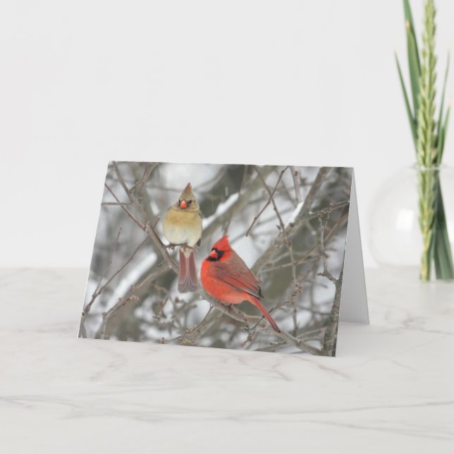 Tarjeta Pares de cardenales septentrionales (Anverso)