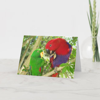 Tarjeta Pares de Eclectus