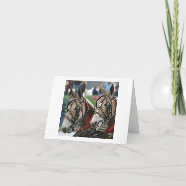 Tarjeta Pares de mulas en arnés (Anverso)