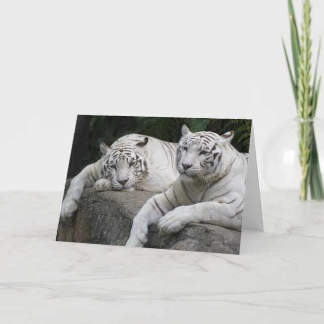 Tarjeta Pares del tigre (Anverso)