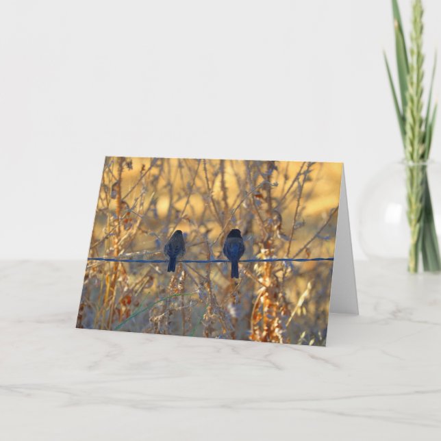 Tarjeta Pares románticos del pájaro del gorrión, saludo de (Anverso)